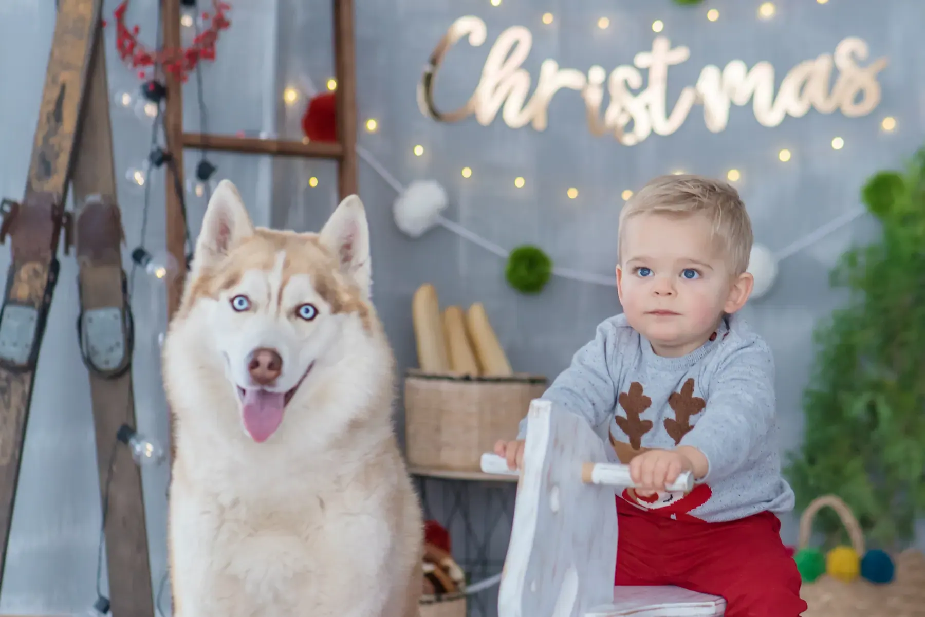 Коледна фотосесия в MStudio, Стара Загора - примерен кадър 4